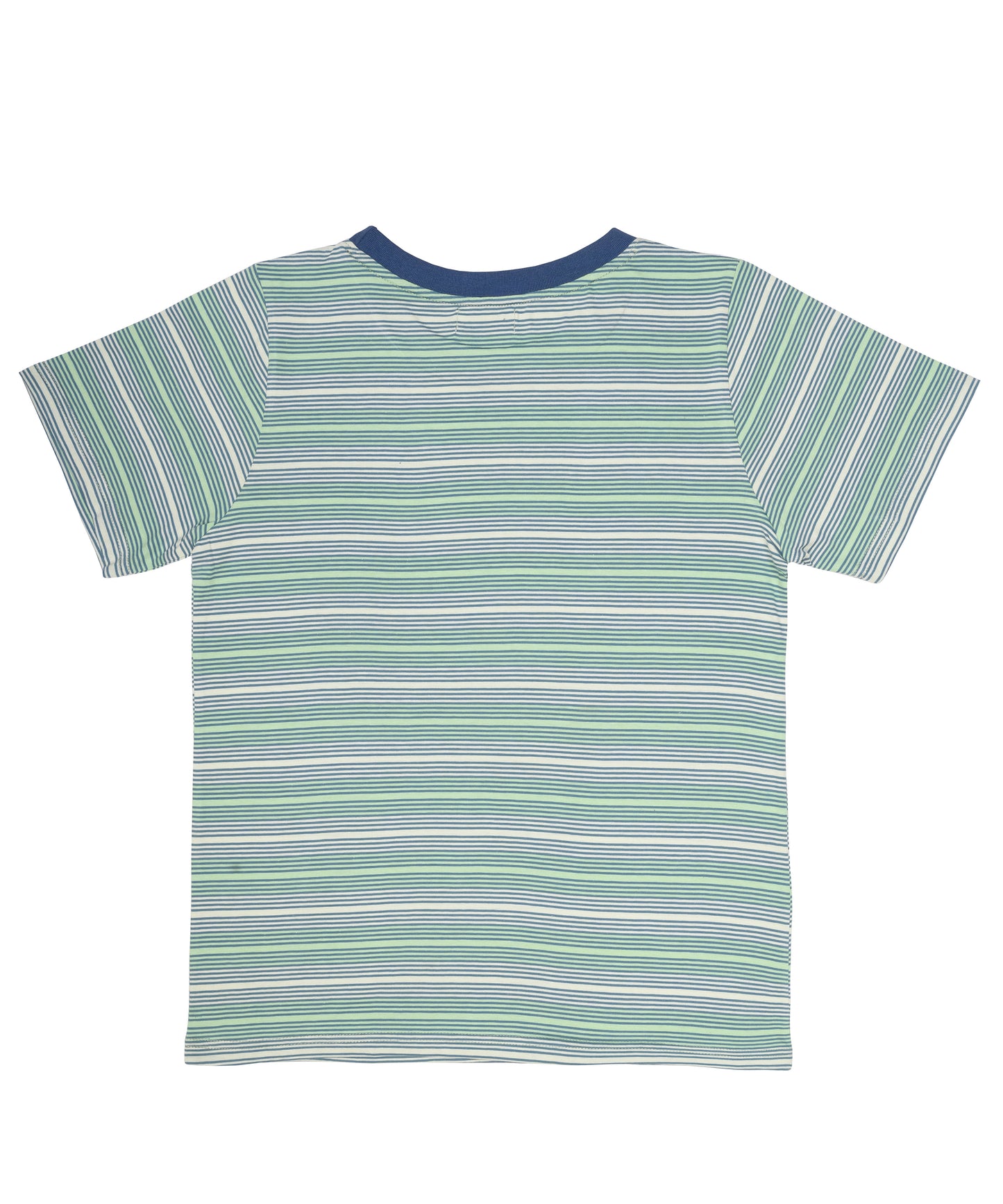 Green & Blue Striped Crew Neck T-Shirt